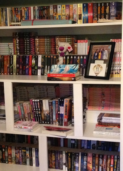 bookshelf-closet