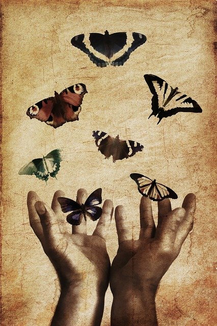 Illustration of hands releasing butterflies