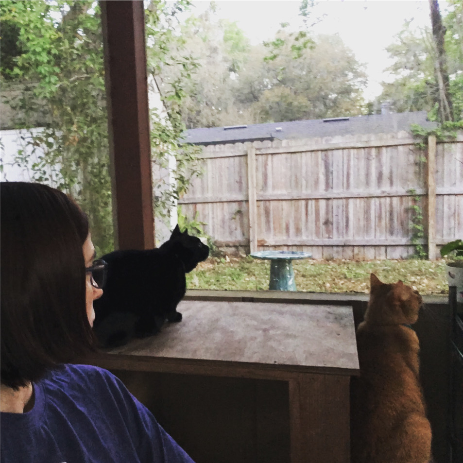 Christy bird watching on back patio with Anna and Flynn