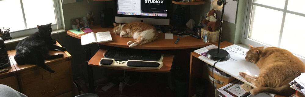 Three cats on and around my desk