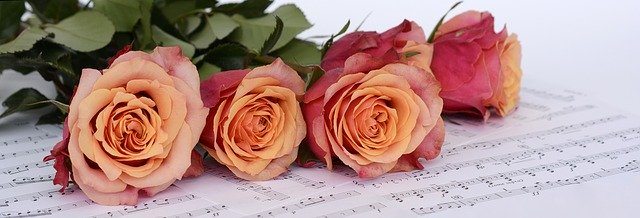 Orange/pink roses on top of a sheet of music