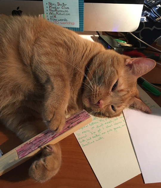 Flynn, a large orange tabby, lying on a half-written letter with a paper fan between his paws.