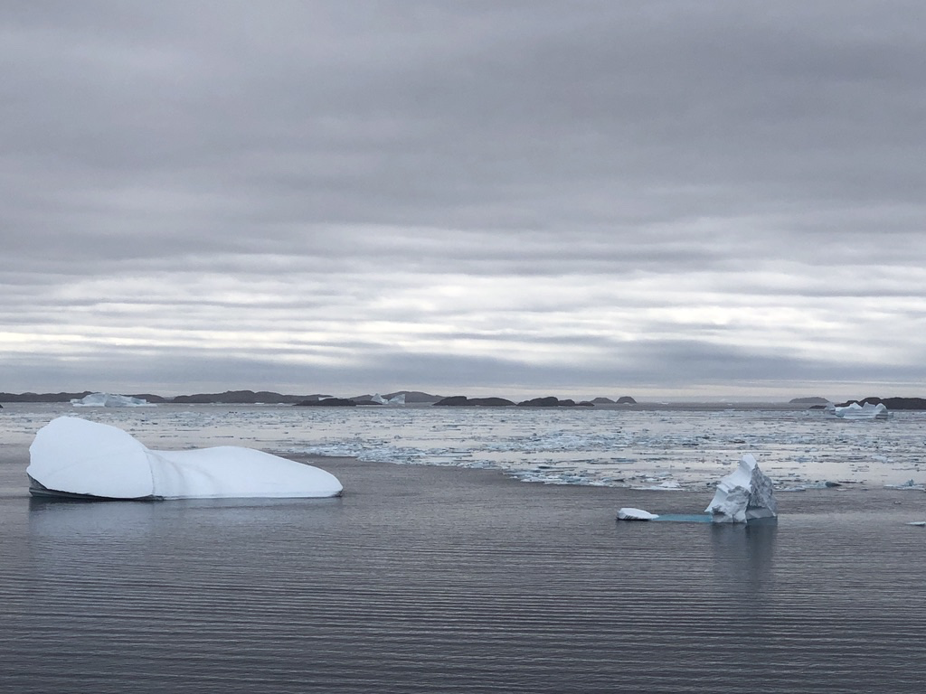 Iceflow in the sea